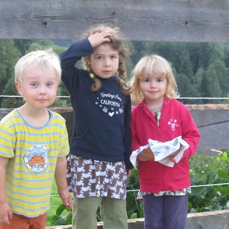 Landhaus Seebacher Spital Am Pyhrn Bagian luar foto